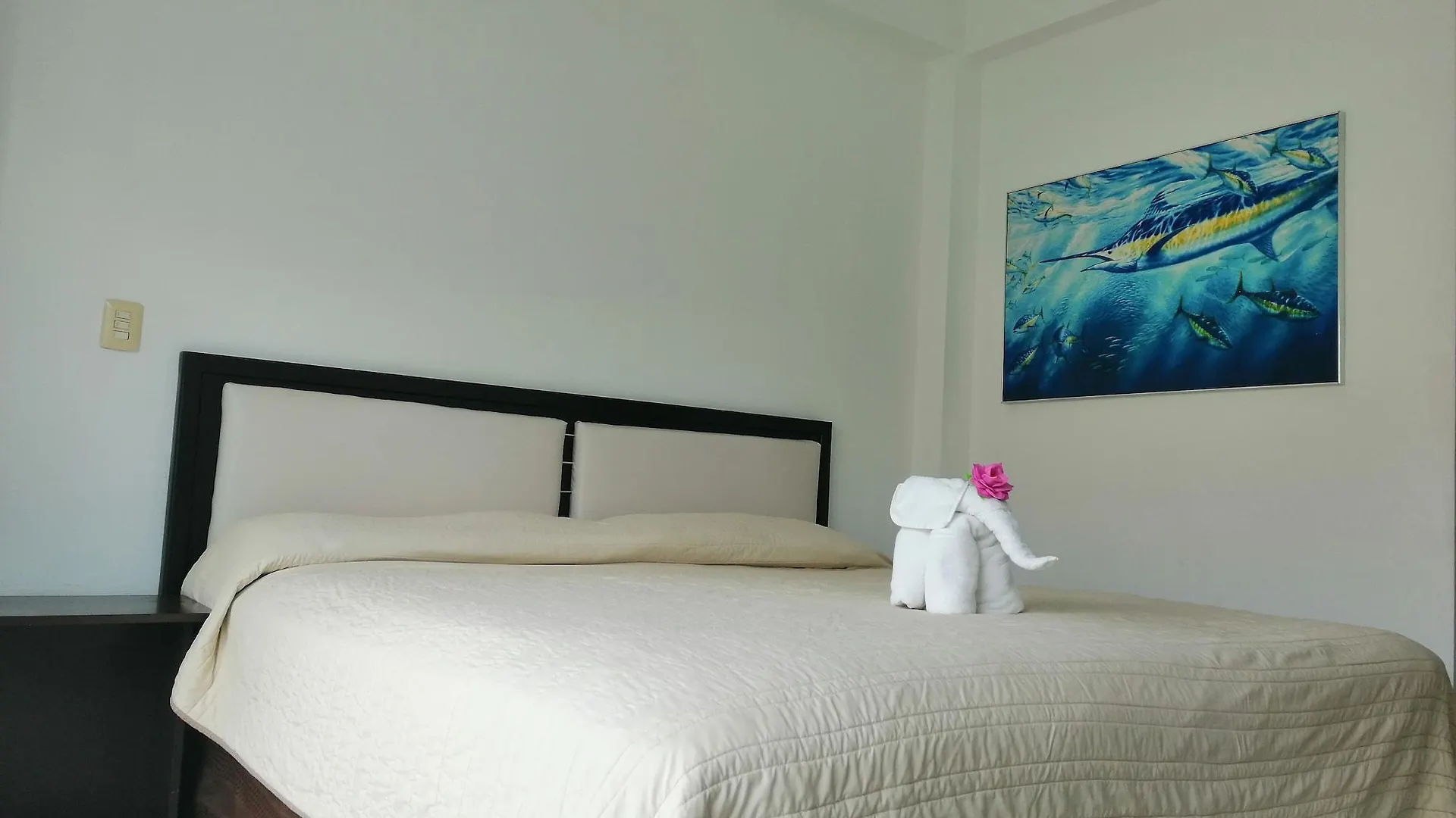 Hotel Plaza Playa Плая-дель-Кармен